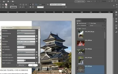 Screenshot Bildersuche in SixOMC-Bibliotheken direkt aus InDesign (Plugin SixOMC)