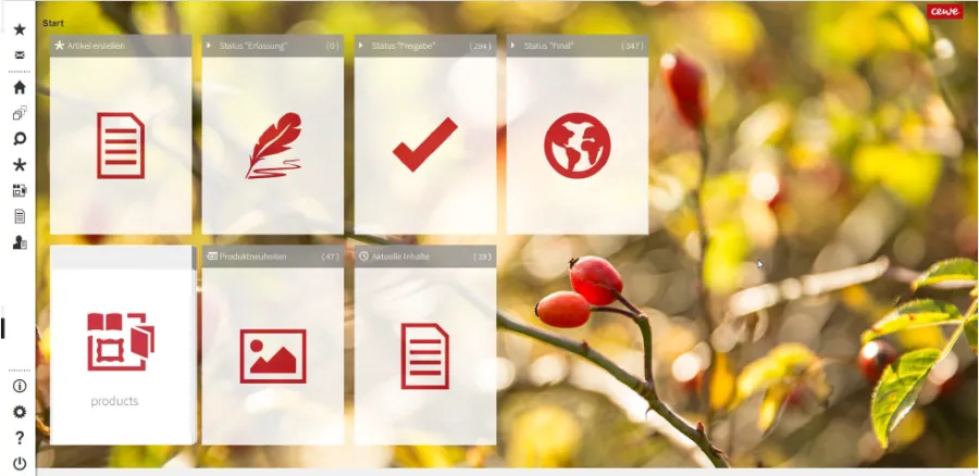 Screenshot Autorentool - Beispiel CEWE